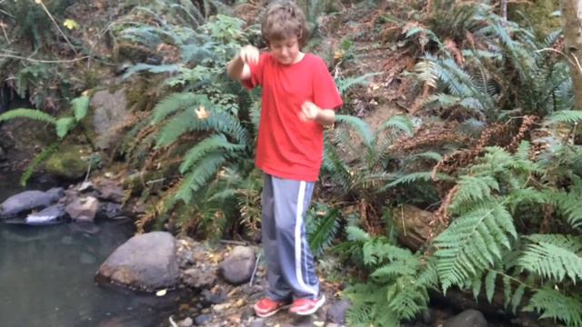 Max Fishing in the Forest смотреть онлайн