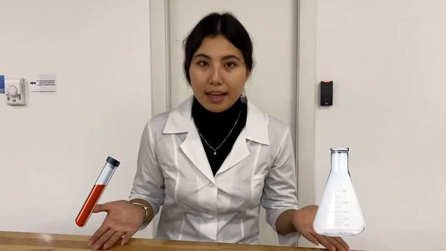 Видеоурок по теме "Предмет химии. Правила техники безопасности." MULTIMEDIA IN EDUCATION смотреть онлайн