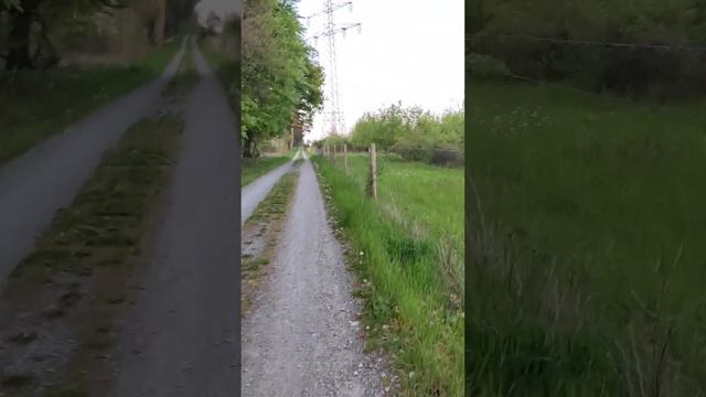 что я делаю не так? время поджимает вешаю последние ловушки 7. Mai 2023 смотреть онлайн