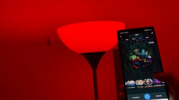 Easy Setup Complete installation & Setup of #NITEBIRD Smart Bulb