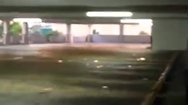 Short clip of my toyota x-runner смотреть онлайн