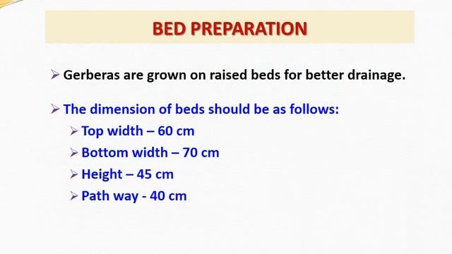 How to grow Gerbera (Gerbera jamesonii ) - Part 01, Field preparation, Planting & Varieties смотреть онлайн