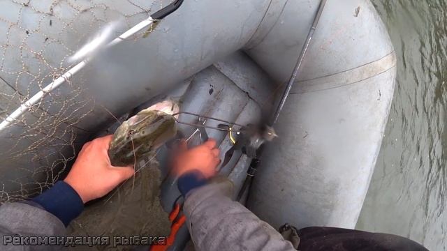 БЕШЕНЫЙ КЛЁВ! НАСТОЯЩИЙ ОСЕННИЙ ЖОР! Лучшая Рыбалка на Спиннинг 2020! Ловля щуки судака на джиг смотреть онлайн