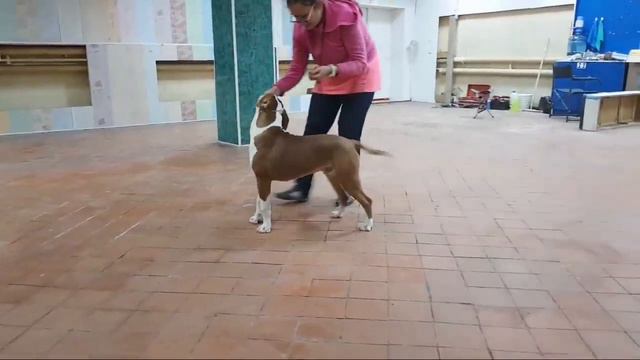 Стрим Из Нового Помещения смотреть онлайн