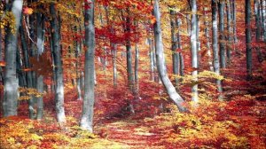 КРАСИВАЯ РАССЛАБЛЯЮЩАЯ МУЗЫКА (ПИАНИНО), МУЗЫКА ДЛЯ СНА, СПОКОЙНАЯ МУЗЫКА, РОМАНТИЧЕСКАЯ МУЗЫКА