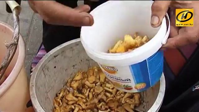 Контуры. Тихая охота смотреть онлайн