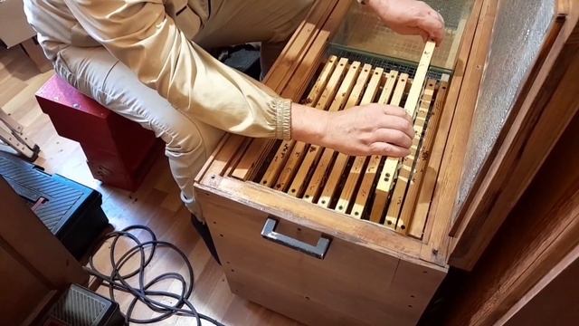 ИНКУБАТОР ДЛЯ ВЫВОДА ПЧЕЛИНЫХ МАТОК. своими руками. смотреть онлайн