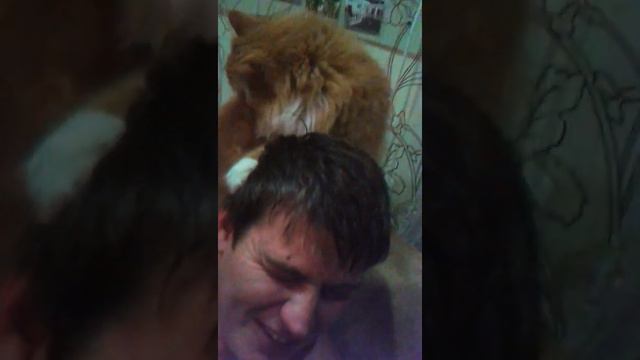 как коты умываются видели все ,а вот как кот моет человека мало кто😁 смотреть онлайн