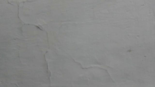 обзор на Nevoks филин Х