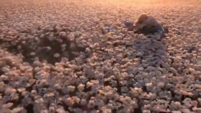 GUCCI FLORA BY GUCCI - FirstParfum Edition