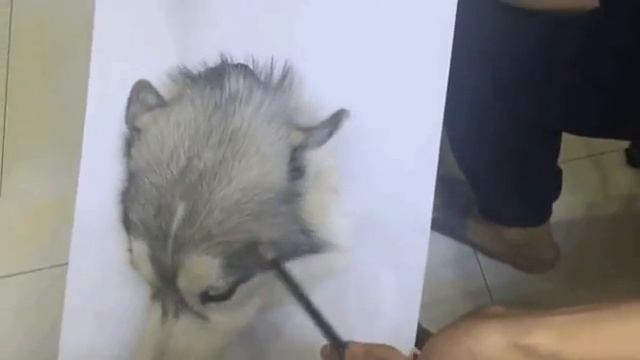 Как нарисовать настоящую собаку. Мастер класс. смотреть онлайн
