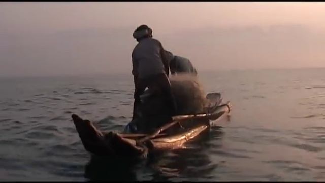 Dismantling the Digital Divide (Full Movie) смотреть онлайн