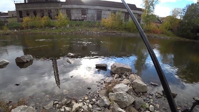 РЫБАЛКА С ДРУЗЬЯМИ НА РЕКЕ ТАГИЛ! НЕ НАДО ОГРОМНЫХ ЛЕЩЕЙ И КРУПНЫХ ОКУНЕЙ! ПРИВЕТ ДМИТРИЮ И ТИНЕ! смотреть онлайн