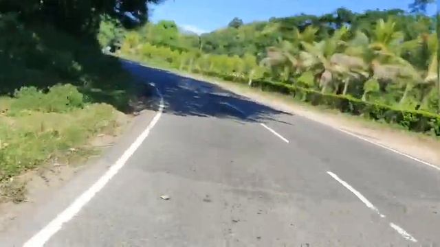 First visit to Kaziranga National Park. смотреть онлайн