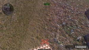 Восход баг с щитом