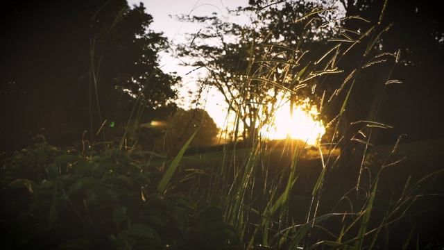 Aura-Soma - Inspiring Stories: Adie смотреть онлайн
