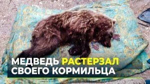 Медведь во время кормежки растерзал мужчину