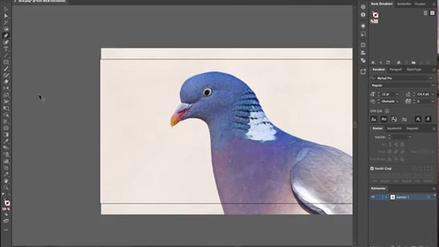 Adobe Illustrator İle .jpg .png Kesme İşlemi (Cut out an image) смотреть онлайн