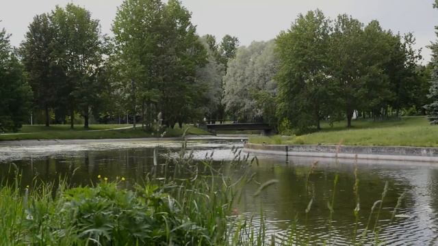 РАЗРЕШИЛА ПО-БЫСТРОМУ ВЛЕЗТЬ ПОЛНОСТЬЮ. Истории из жизни. Жизненные рассказы смотреть онлайн