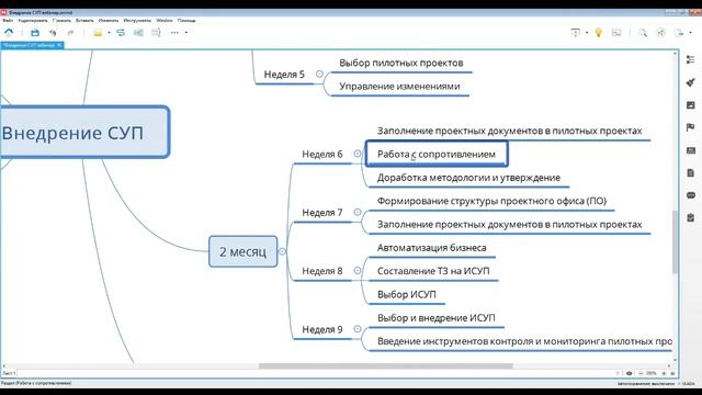 Настройка системы проектного управления в компании. Пошаговый алгоритм