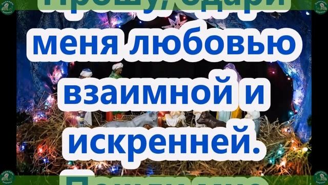 Молитвы На Рождество Христово, о Замужестве, о Здоровье, на Деньги и Богатство.| Знахарь-Кирилл ✝☦ смотреть онлайн