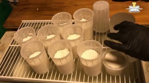 Сыр из козьего молока Кроттен / Crottin