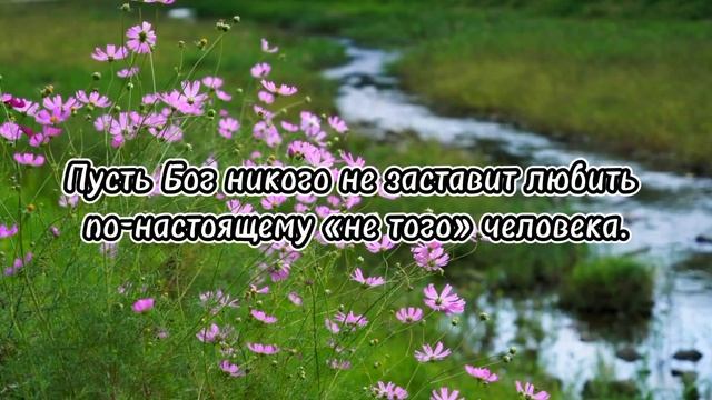 Самые пронзительные слова на вечную тему...Испокон веков афоризмы про любовь будоражат сознание.