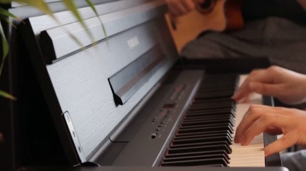 Passacaglia In Different Tastes - Maan Hamadeh & Wael Al Wirr