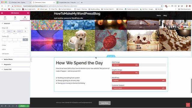Margin, Padding & Border Explained on a WordPress Website смотреть онлайн