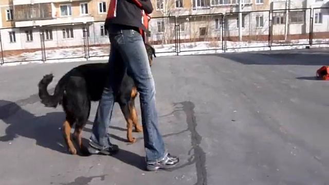 Черная Береза Стиль Фенди смотреть онлайн