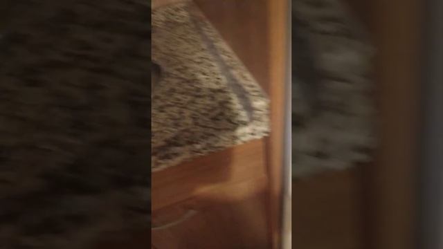 Наш отель Турции🌅 .я обалдел когда увидел сколько туалетной бумаги 😱 смотреть онлайн