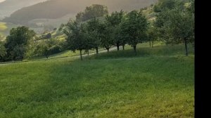 Гульмира Магомедова - Ты мой мир 2023