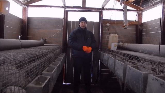 Сколько воды пьют кролики зимой? смотреть онлайн