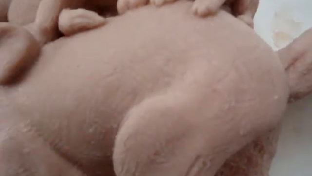 Chow Time! Or Dogs with their Dinner Bowls... смотреть онлайн