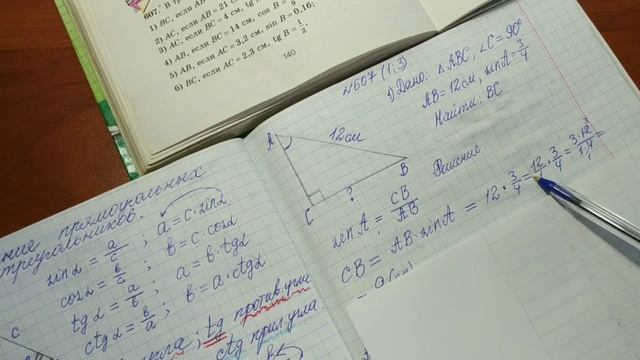 8 класс Урок 1. Правила решения прямоугольных треугольников смотреть онлайн