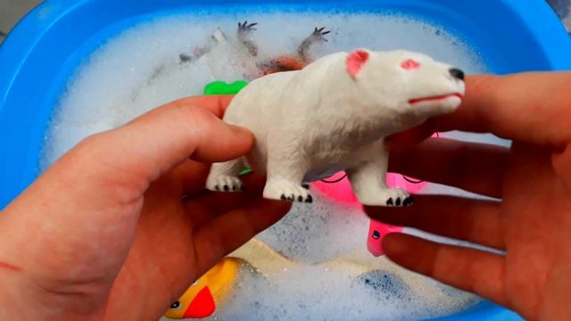 Узнайте имена морских животных Акула Видео Игрушки для детей