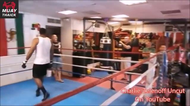 ТОП 5 ИЗБИЕНИЙ НЕПОБЕДИМОГО ОТМОРОЗКА БОКСЁРА - ЧАРЛИ ЗЕЛЕНОФФ смотреть онлайн