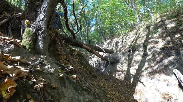 Одиночный поход на мопеде Дельта в Днестровский каньон за грибами смотреть онлайн