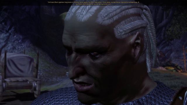 В ПОИСКАХ ИДЕАЛЬНОЙ ФЕНТЕЗИ - Dragon Age: Origins - ЧАСТЬ 1 смотреть онлайн