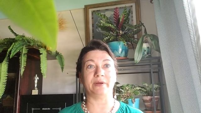 Спортивные секции США. Как попасть в команду? смотреть онлайн