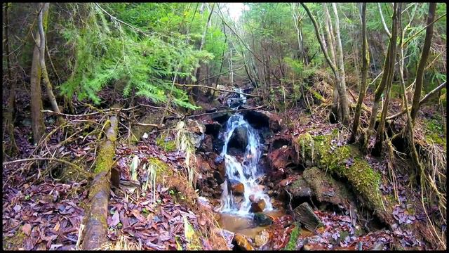 Звуки реки, текущей в горах / Sounds of the river flowing in the mountains смотреть онлайн