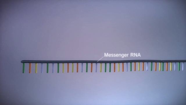 What is the Central Dogma of Life? смотреть онлайн