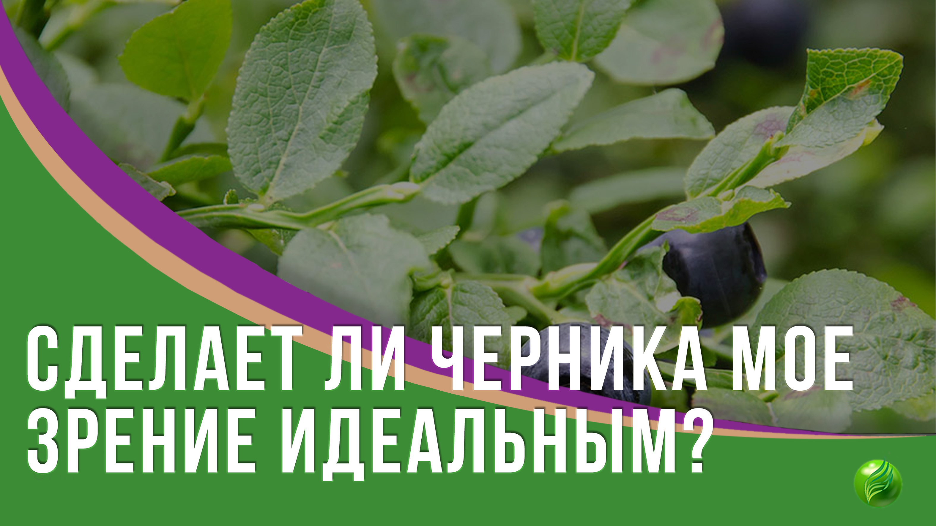 Сделает ли черника мое зрение идеальным?