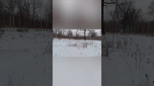 квадроцикл 250 кубов на гусинецах