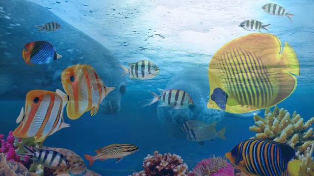 Ocean Men (Cliff Eidelman). смотреть онлайн