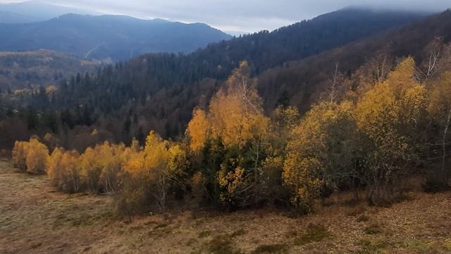 ТРОСТЯН, Славсько .Карпати.Trostian mountain .Carpathians ,Ukraine