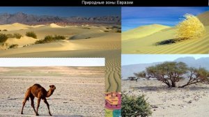 304  Природные зоны Евразии