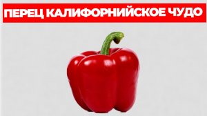 Перец Калифорнийское Чудо Описание Сорта и Отзывы