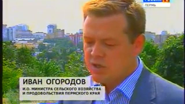 Гниль из Поднебесной. Чем опасен картофель из Китая? смотреть онлайн