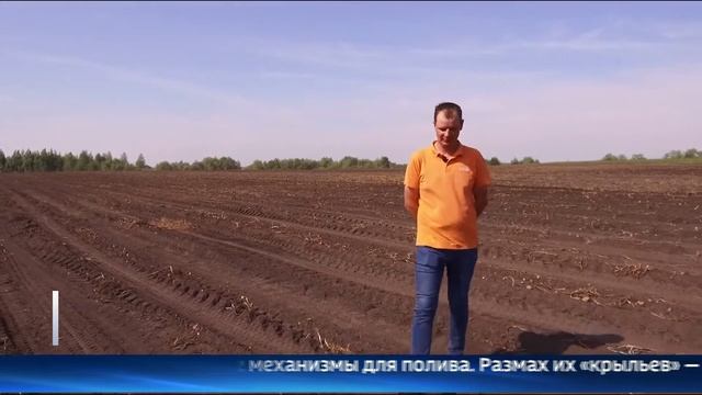 Системы полива спасают картофельные поля от засухи смотреть онлайн